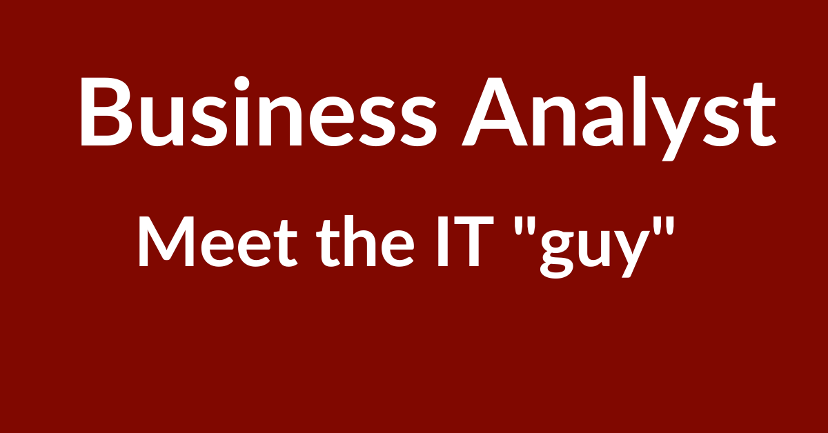 Who is a Business Analyst